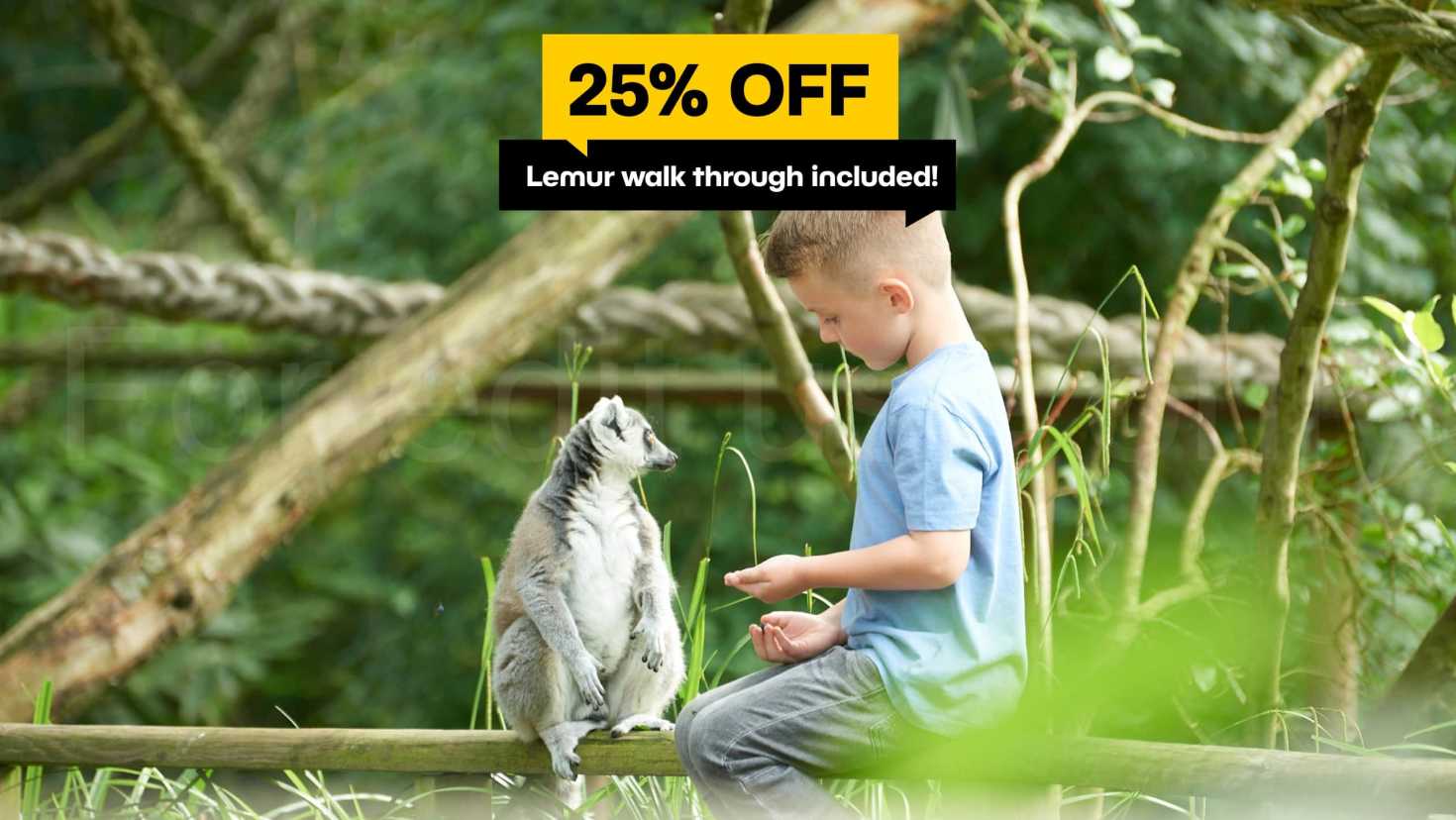 Lemur walkthrough