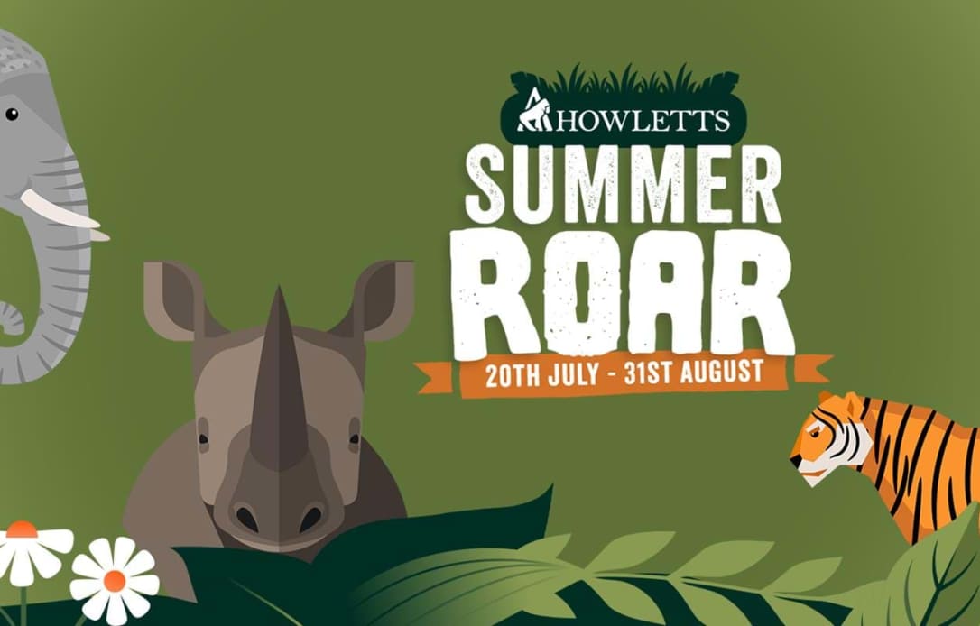 Howletts Wild Animal Park - Ticket Image