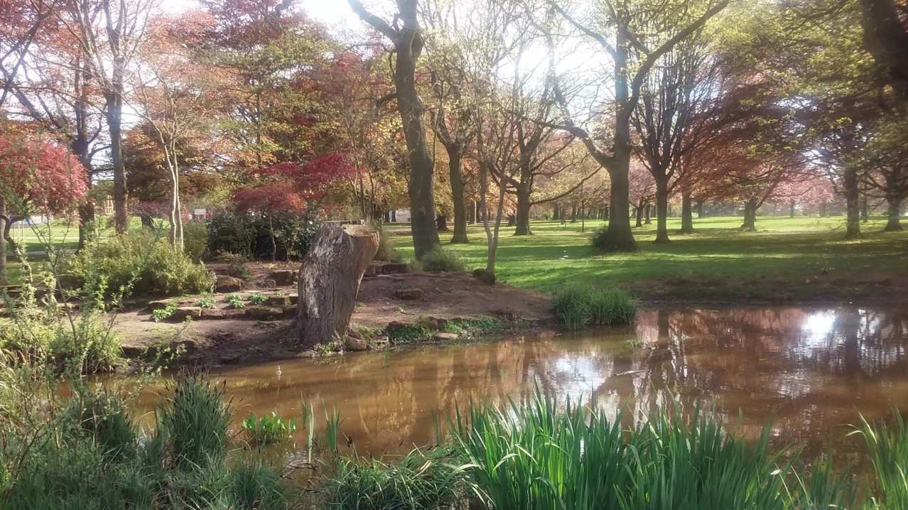 Pond at War Memorial Park in Coventry