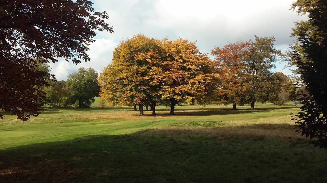 Landscape at War Memorial Park in Coventry
