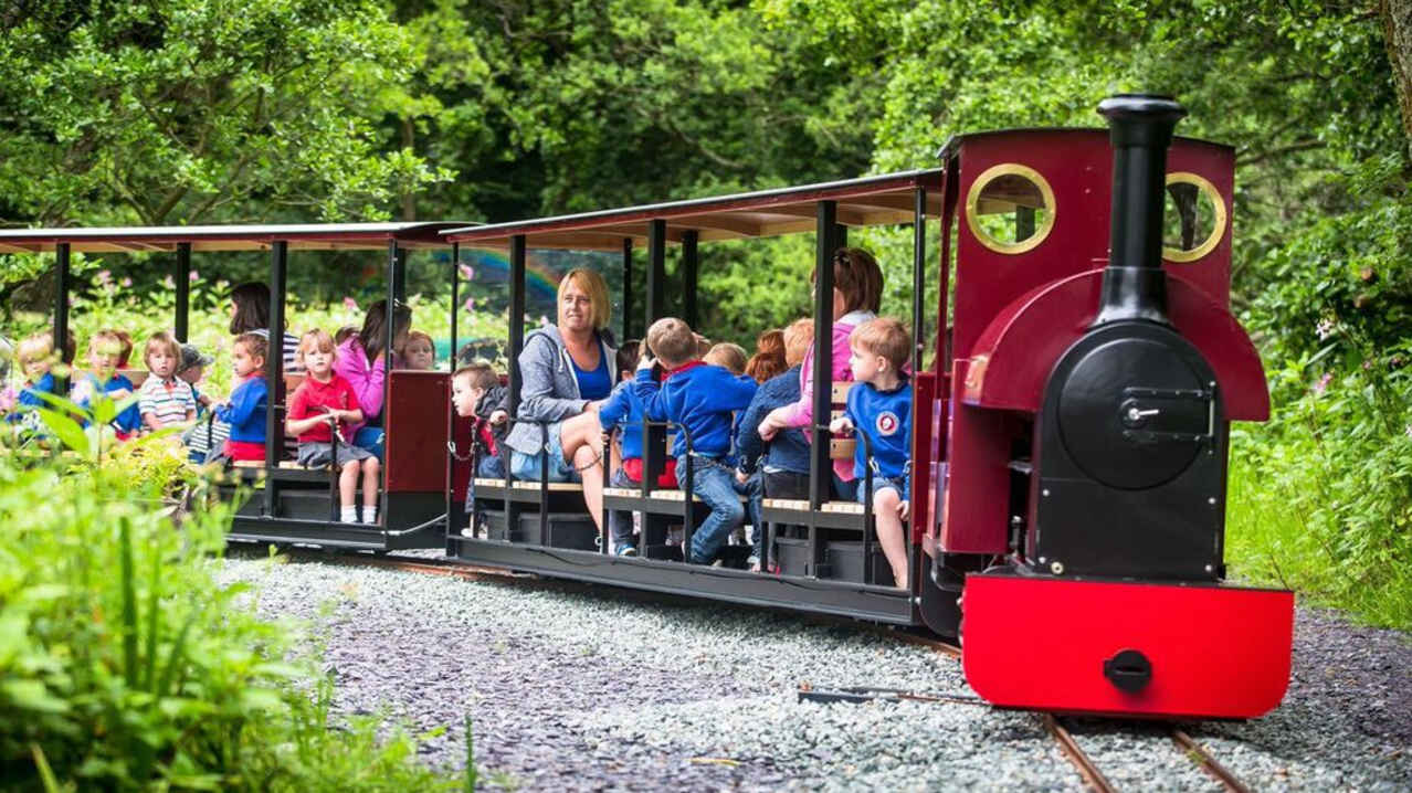 Families on train at Gypsy Wood in Caernarfon Families on train at Gypsy Wood in Caernarfon