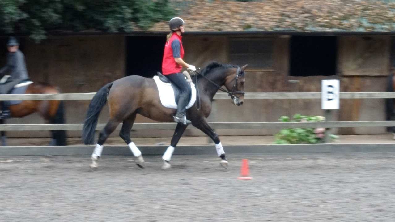 Person horse riding at Budleigh Salterton Riding School