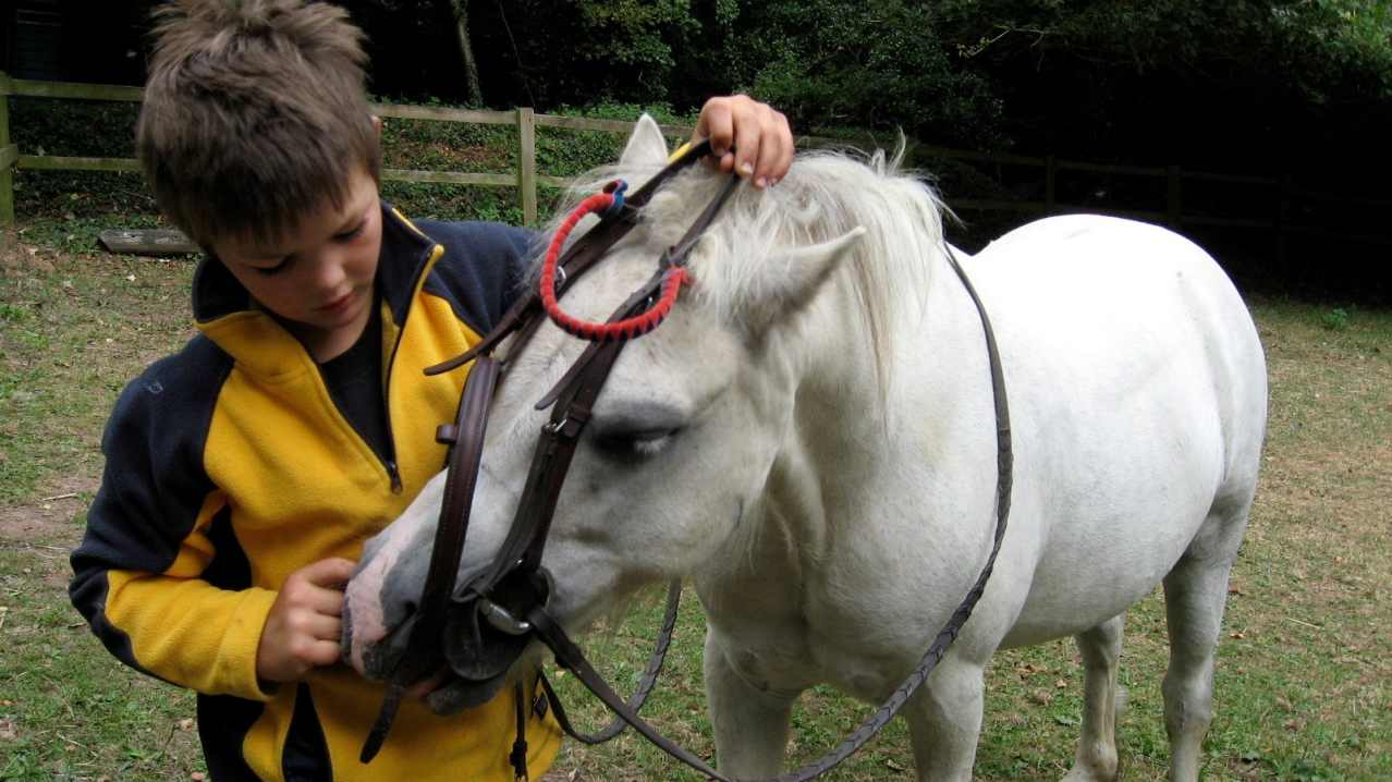 Boy with horse at Budleigh Salterton Riding School