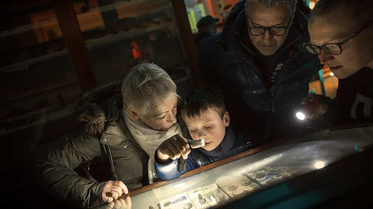 Family exploring bones and fossils at Sedgwick Museum of Earth Sciences in Cambridge Family exploring bones and fossils at Sedgwick Museum of Earth Sciences in Cambridge