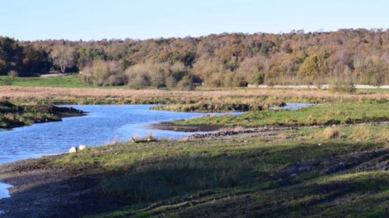Fell End Nature Reserve - Featured Image - 1 Fell End Nature Reserve - Featured Image - 1