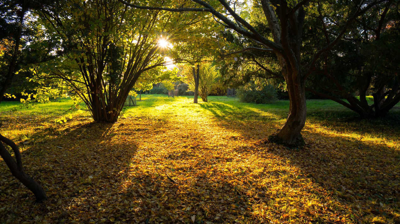 Landscape of Sir Harold Hillier Gardens in Romsey