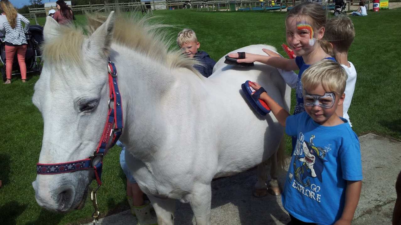 Kids grooming pony at Old MacDonalds Farm in Padstow