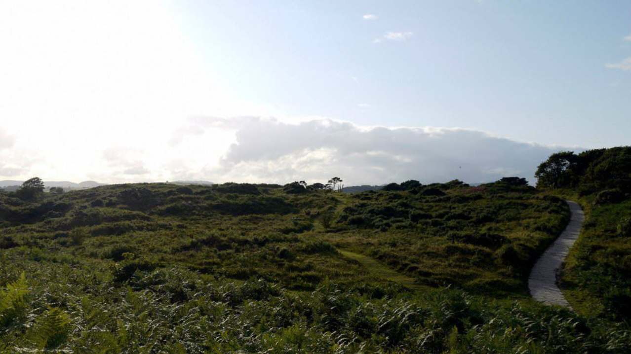Clear day at Murlough National Nature Reserve in Dundrum Clear day at Murlough National Nature Reserve in Dundrum