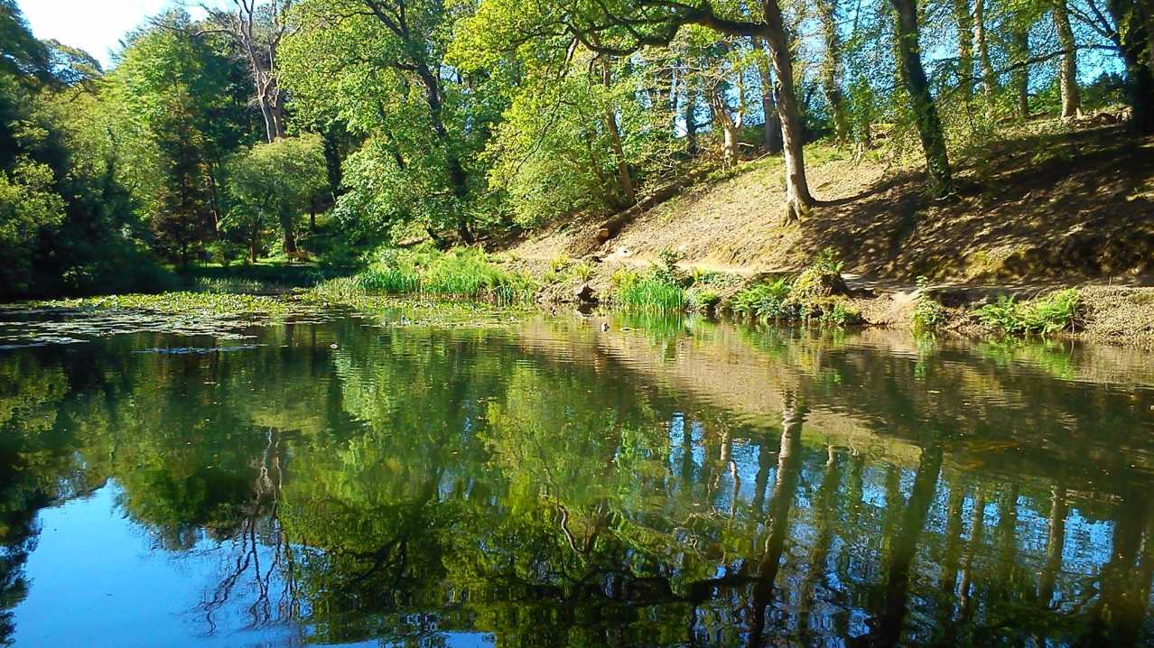 Lake at Pencarrow House and Gardens in Bodmin Lake at Pencarrow House and Gardens in Bodmin