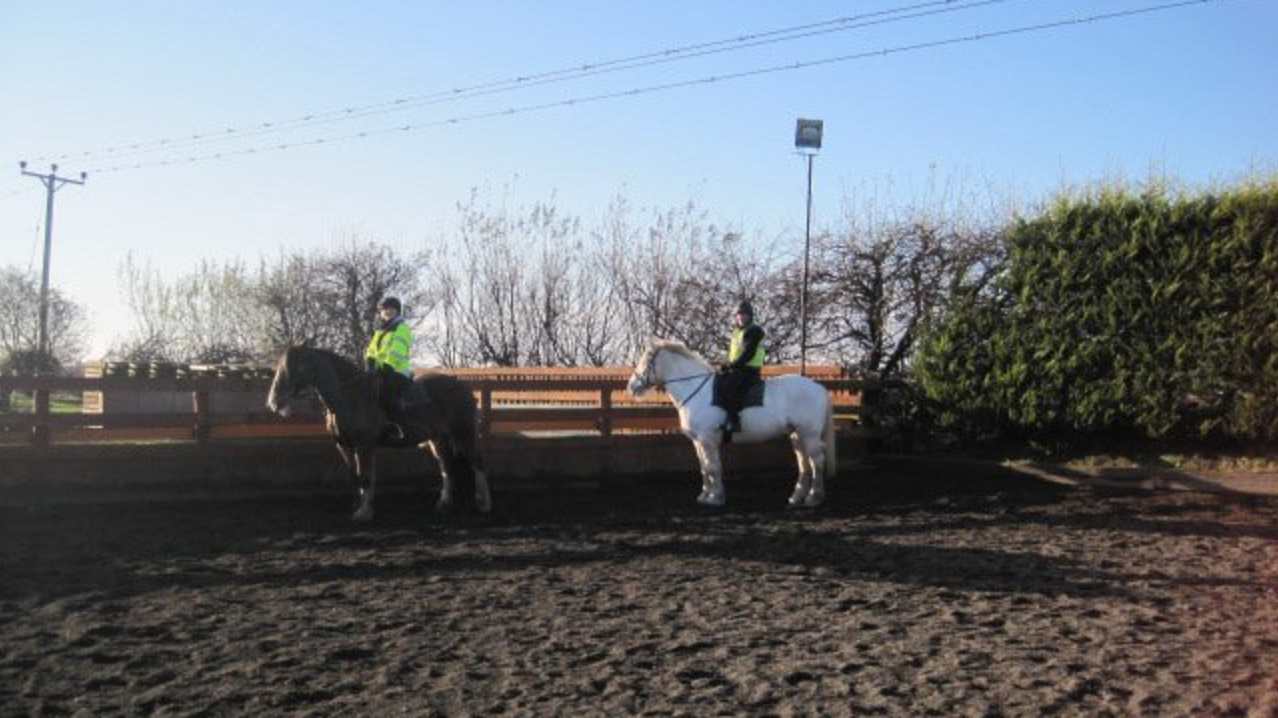 Kids on horse back at Whiteloch Farm Riding and Trekking in Tranent Kids on horse back at Whiteloch Farm Riding and Trekking in Tranent