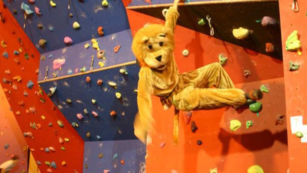Lion mascot climbing at Keswick Climbing Wall Lion mascot climbing at Keswick Climbing Wall