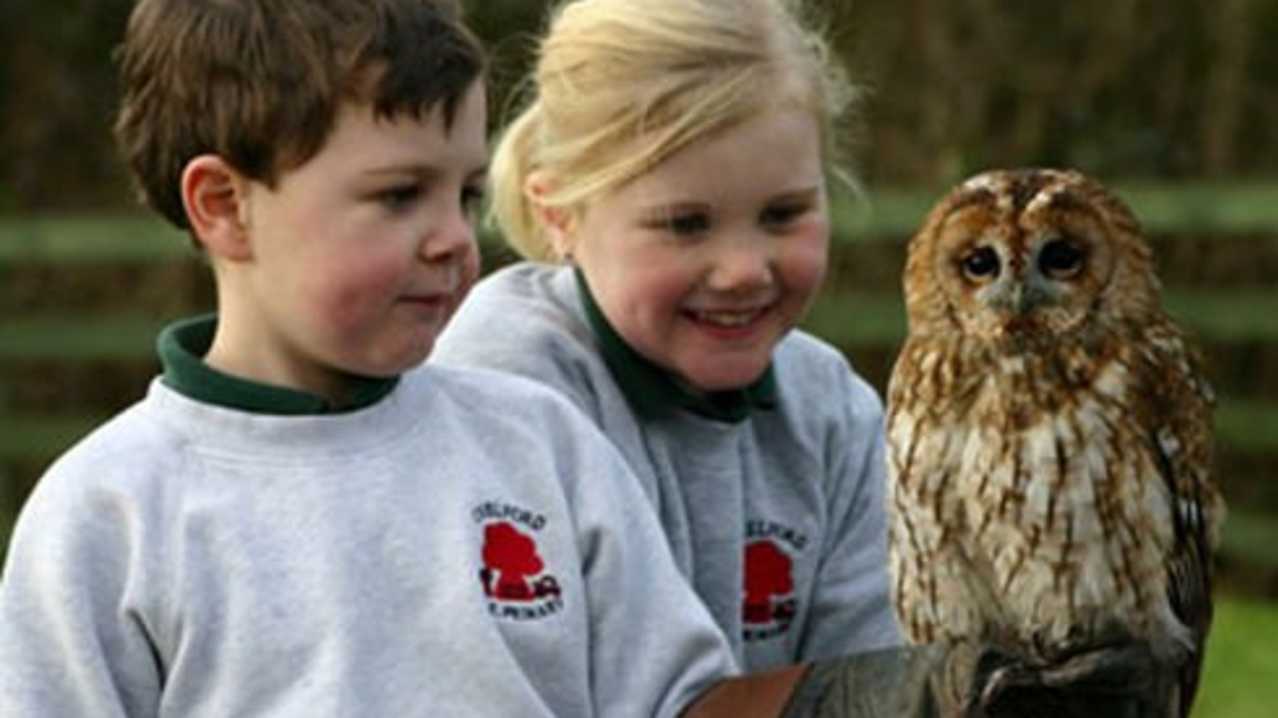 Kids holding Tawny Owl at Gauntlet Birds of Prey in Knutsford