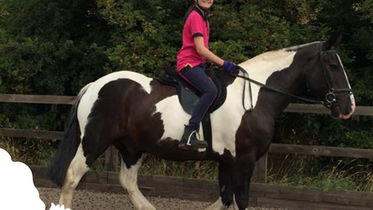 Girl on horse back at Happy Hooves Riding Centre in Penrith Girl on horse back at Happy Hooves Riding Centre in Penrith
