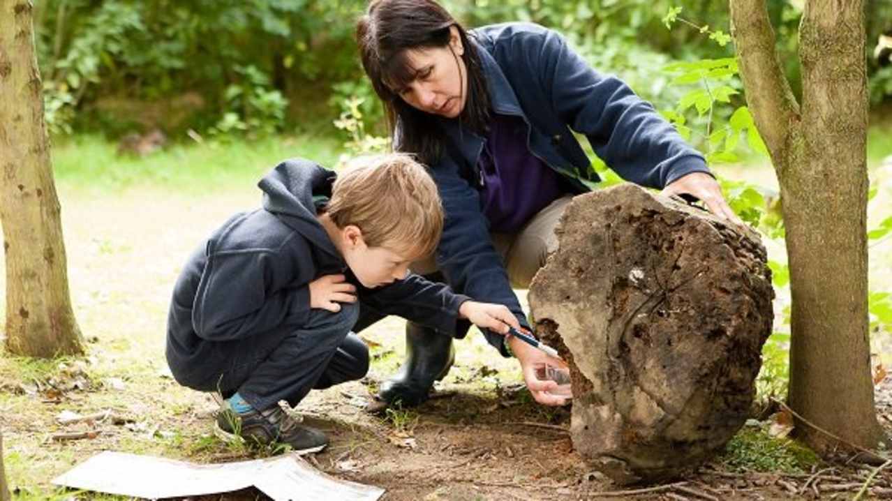 Mum and son inspect boulder at Shropshire Hills Discovery Centre in Craven Arms Mum and son inspect boulder at Shropshire Hills Discovery Centre in Craven Arms
