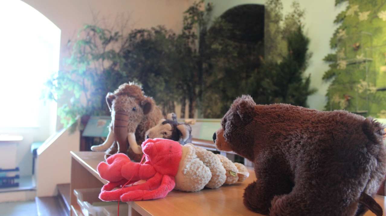 Stuffed animals at Broughty Castle in Dundee Stuffed animals at Broughty Castle in Dundee