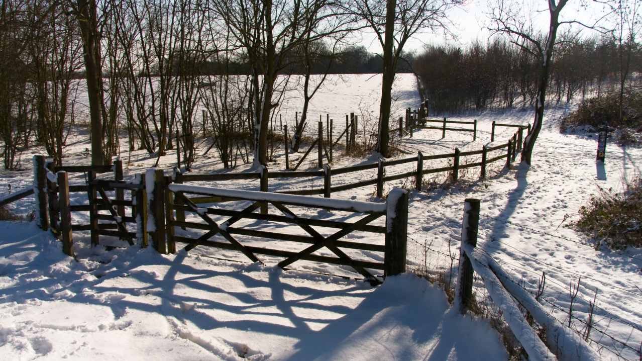 Snow at Thorndon Country Park in Brentwood Snow at Thorndon Country Park in Brentwood