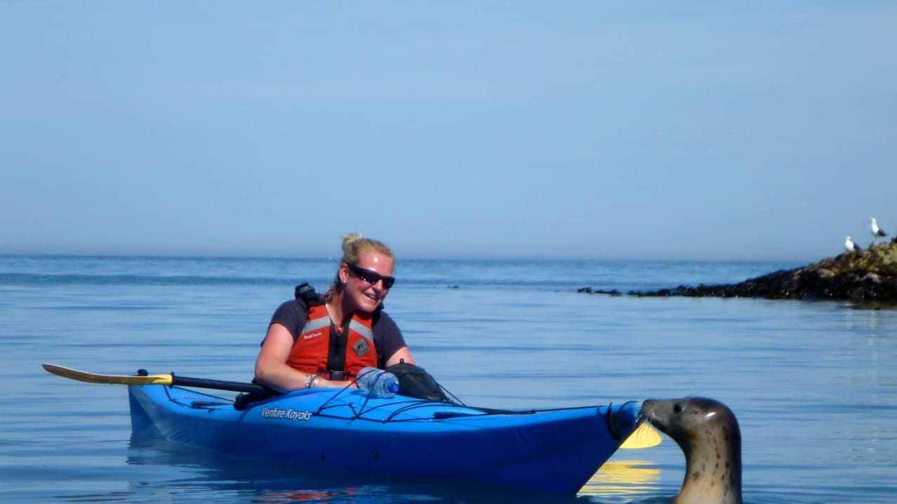 Woman in kayak by seal at Sea Kayak Devon in Dartmouth Woman in kayak by seal at Sea Kayak Devon in Dartmouth