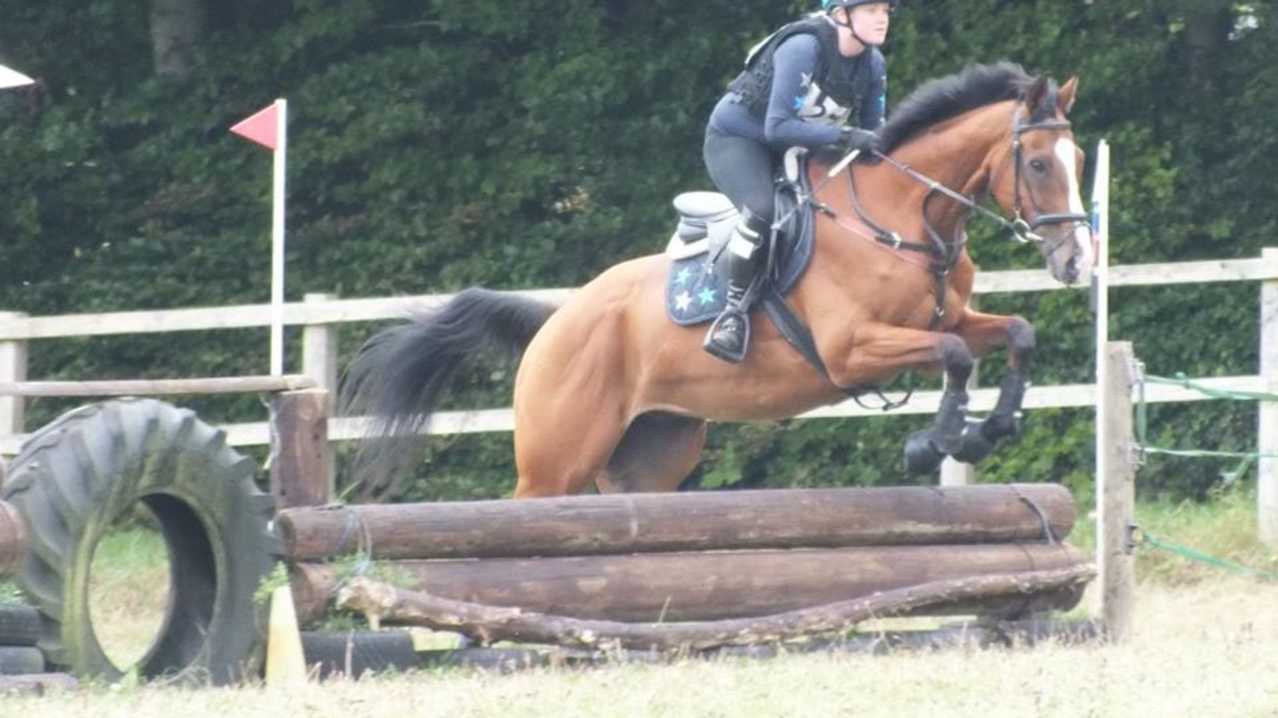 Rider and horse jumping at The Warminster Saddle Club Rider and horse jumping at The Warminster Saddle Club