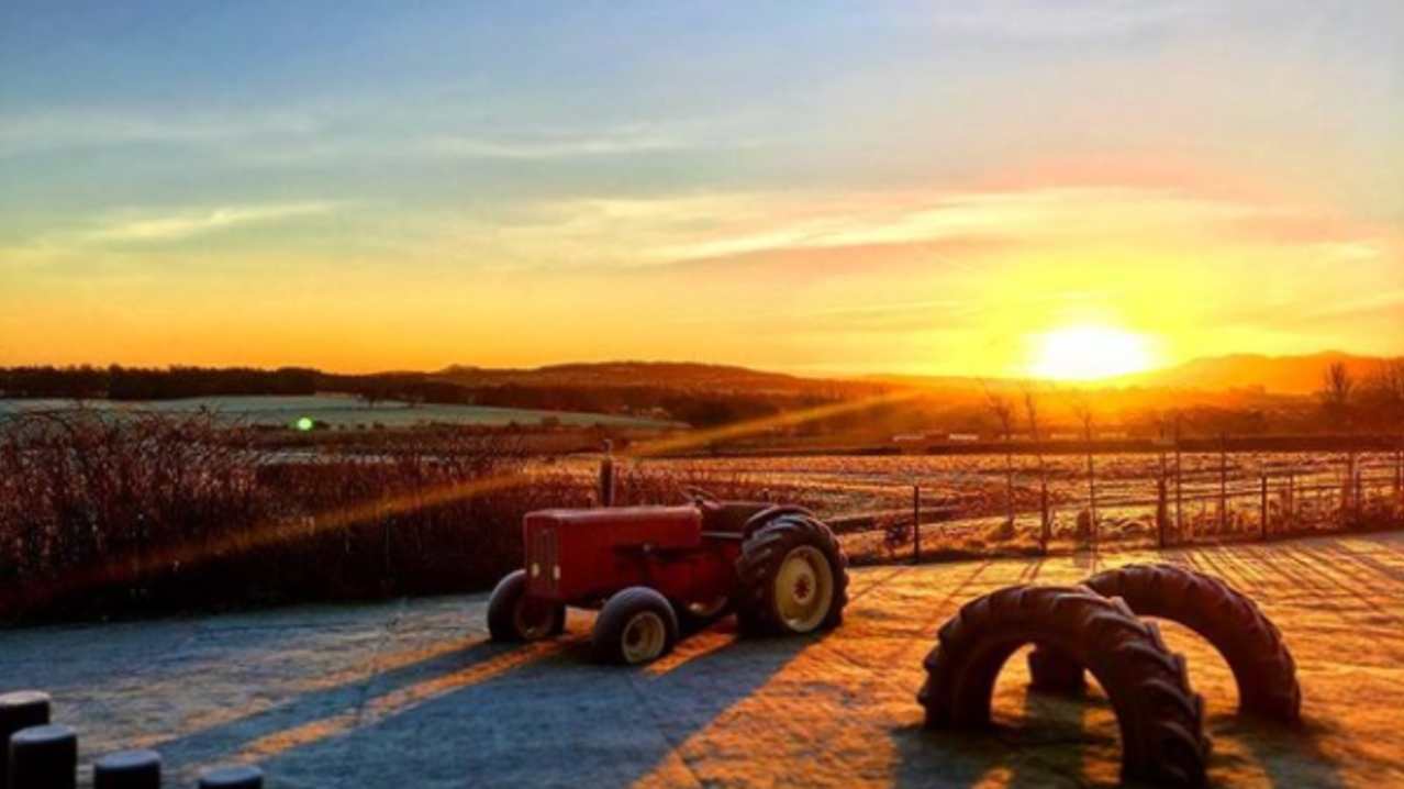 Sunrise at Craigie's Farm Shop and Cafe in Edinburgh