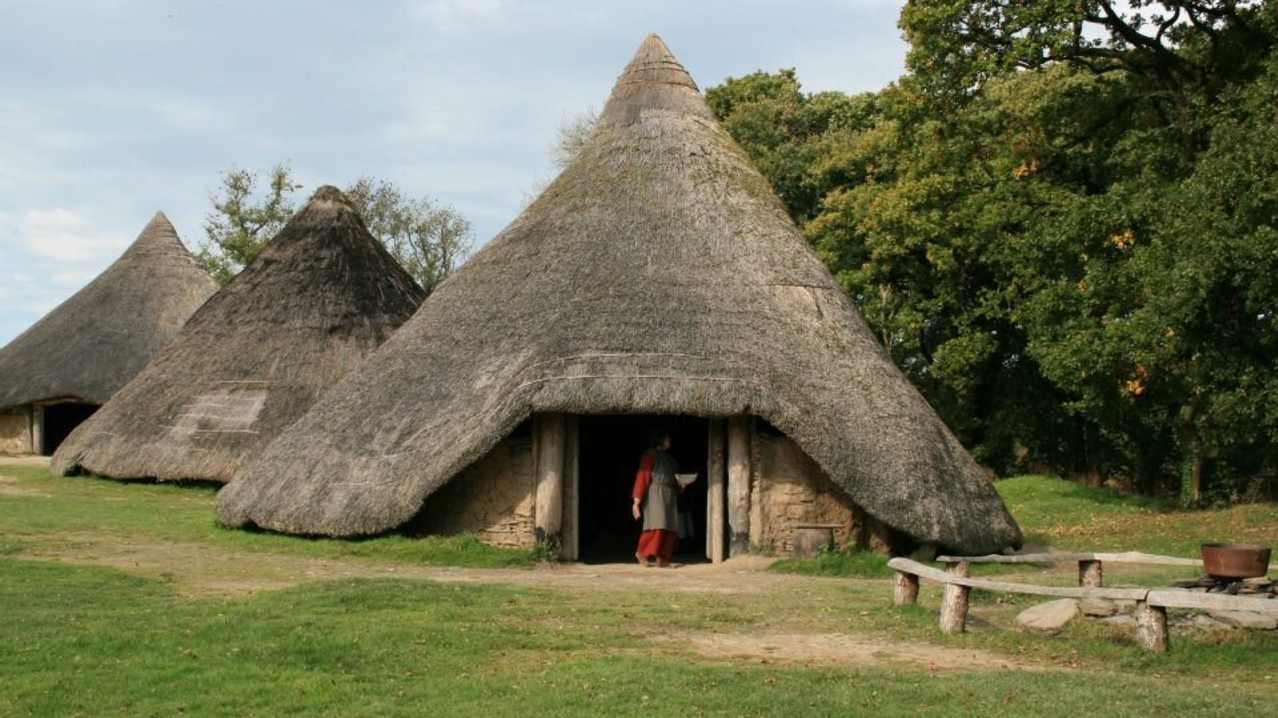 Huts at Castell Henllys Iron Age Hill Fort in Crymych