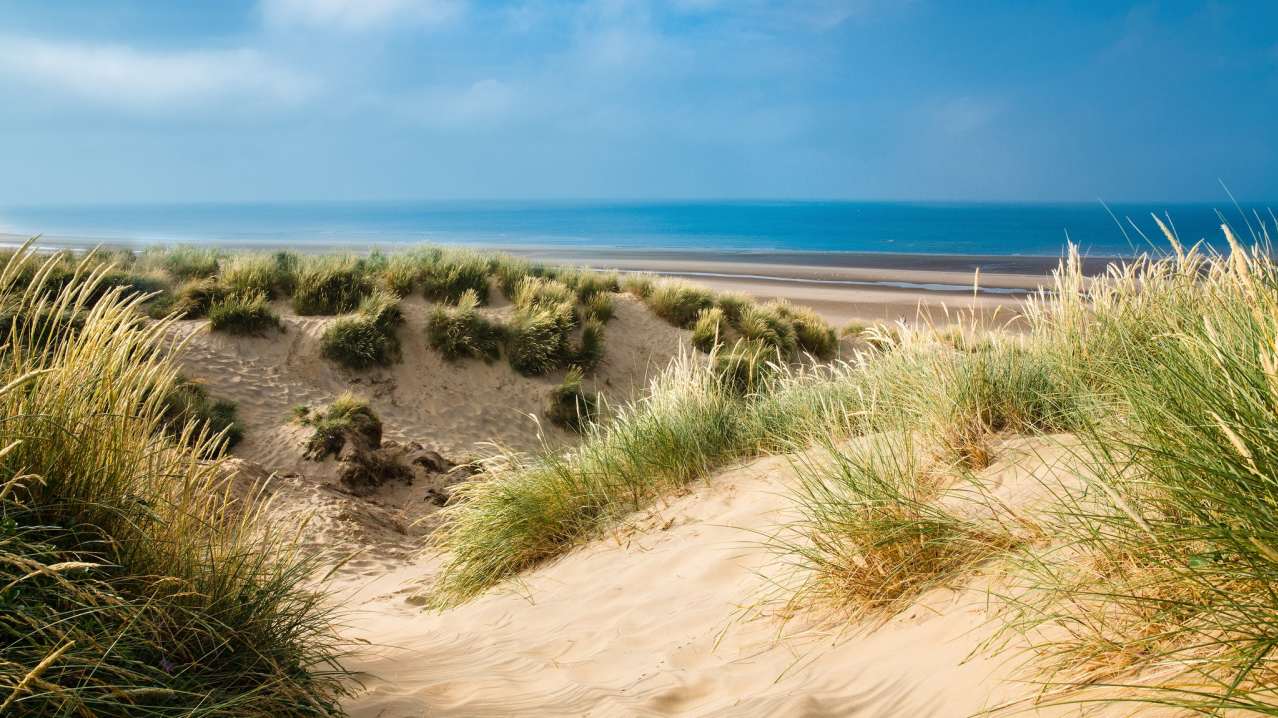 Grassy sand dunes on beach at Camber Sands in East Sussex Grassy sand dunes on beach at Camber Sands in East Sussex