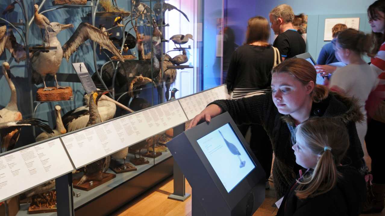 Family reading about birds at The Royal Albert Memorial Museum & Art Gallery in Exeter
