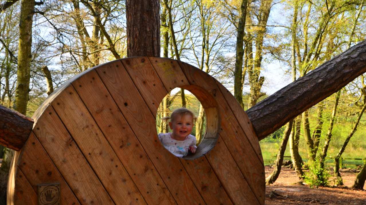 Girl playing at Upton Country Park in Poole Girl playing at Upton Country Park in Poole