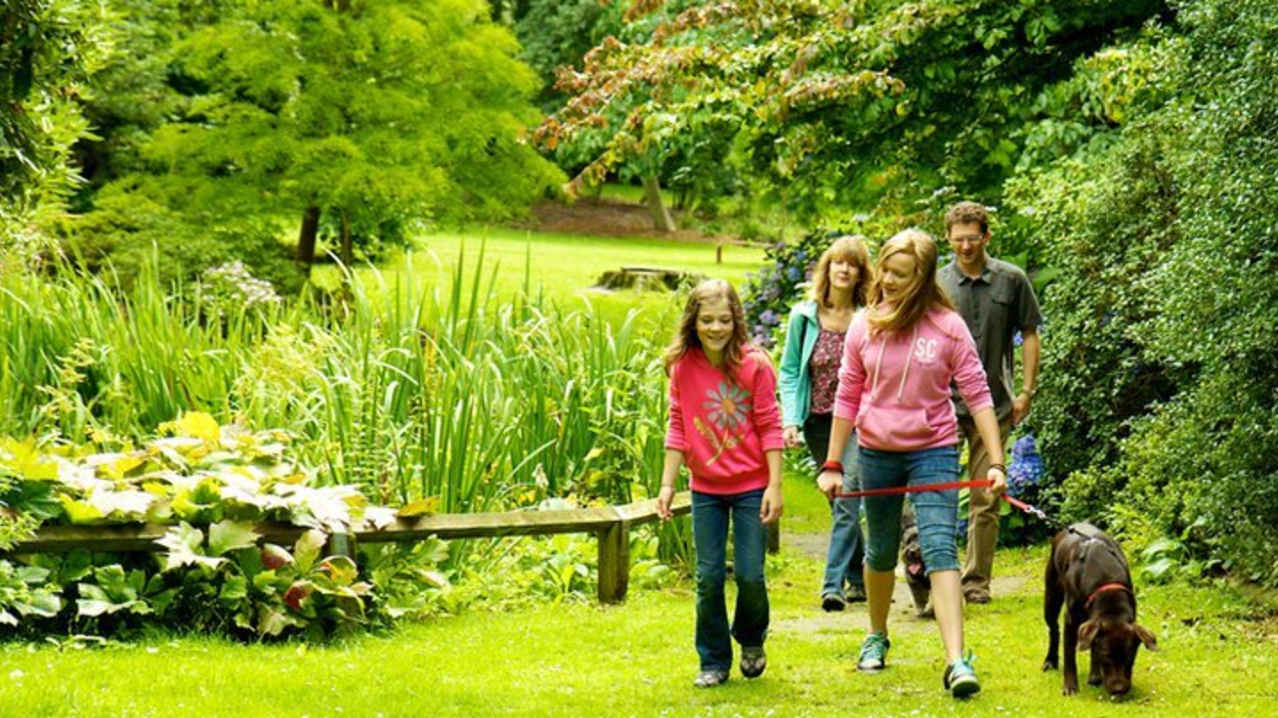 Family with dog at Upton Country Park in Poole Family with dog at Upton Country Park in Poole