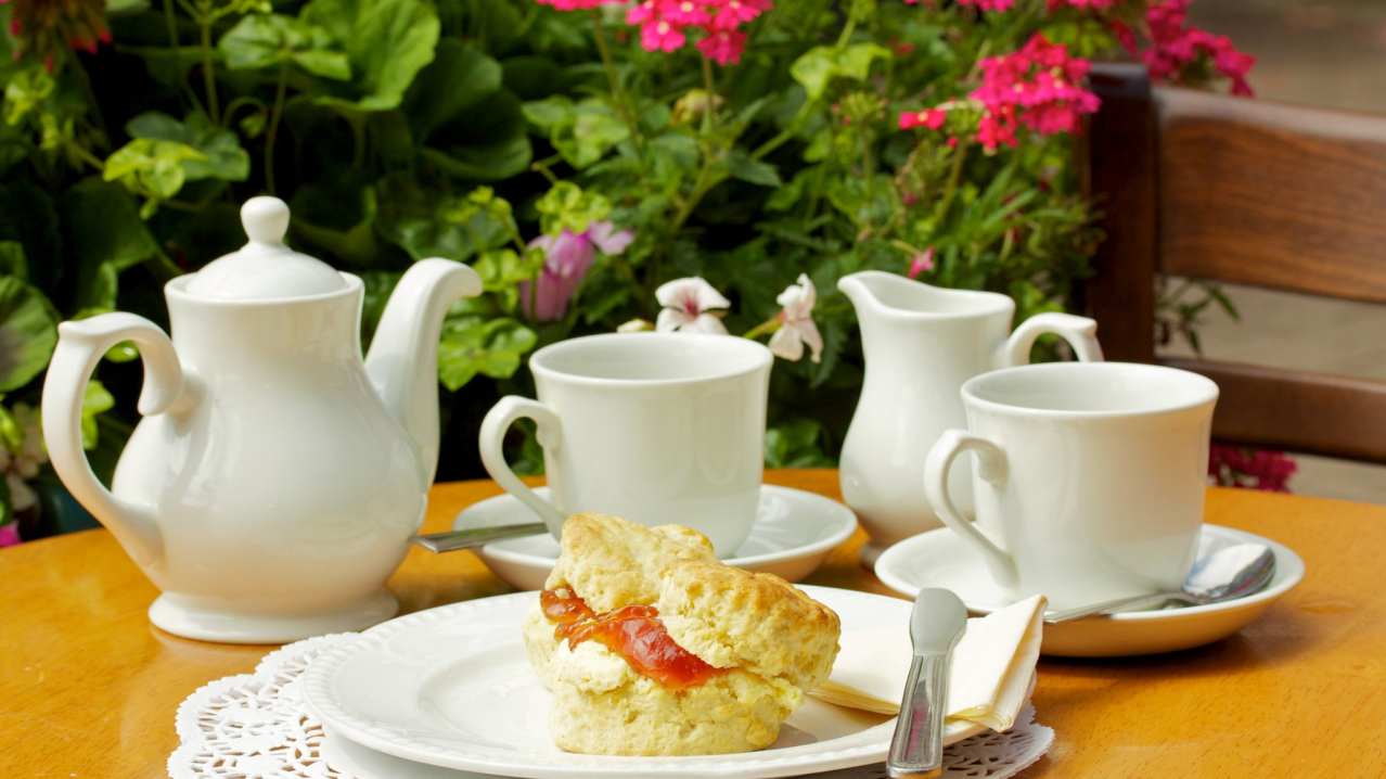 Tea and scone from cafe at Upton Country Park in Poole Tea and scone from cafe at Upton Country Park in Poole