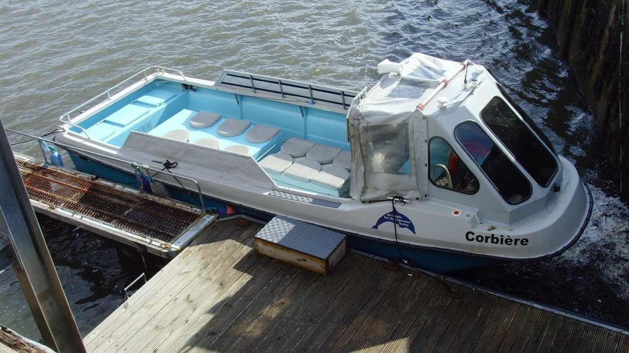 Boat at Avoch Dolphin Trips