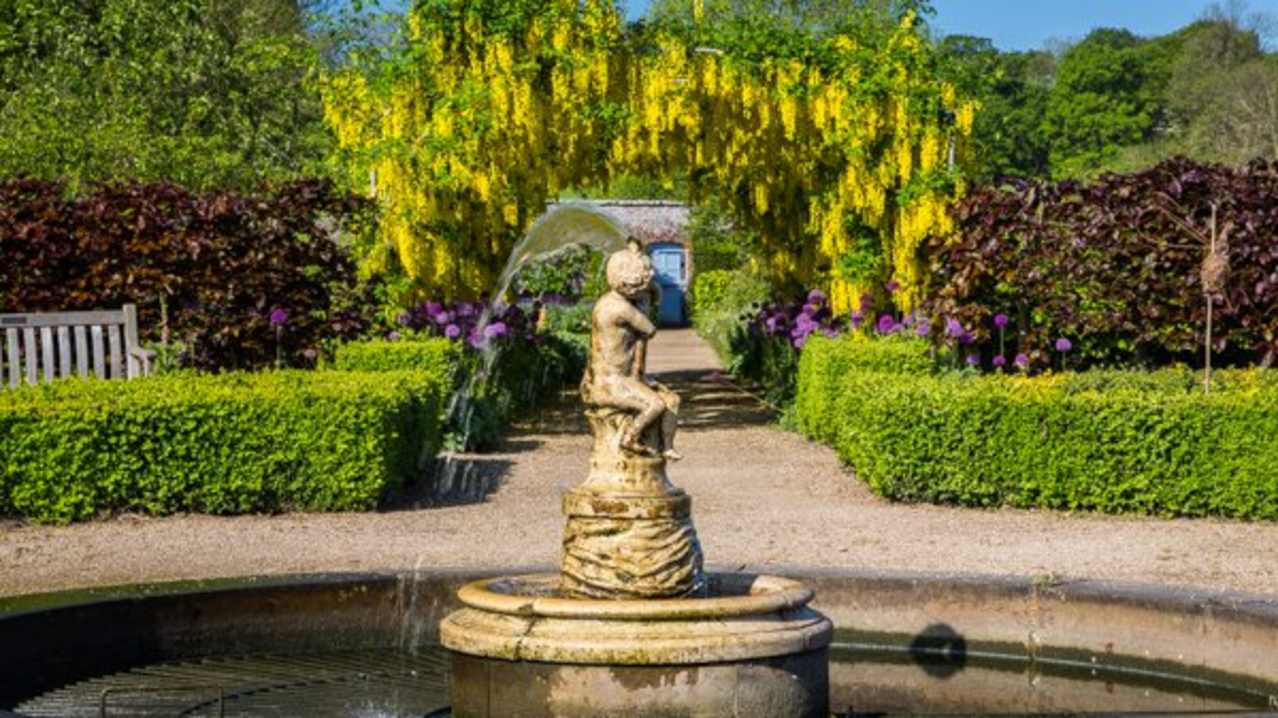 Fountain and Laburnum at Helmsley Walled Garden Fountain and Laburnum at Helmsley Walled Garden