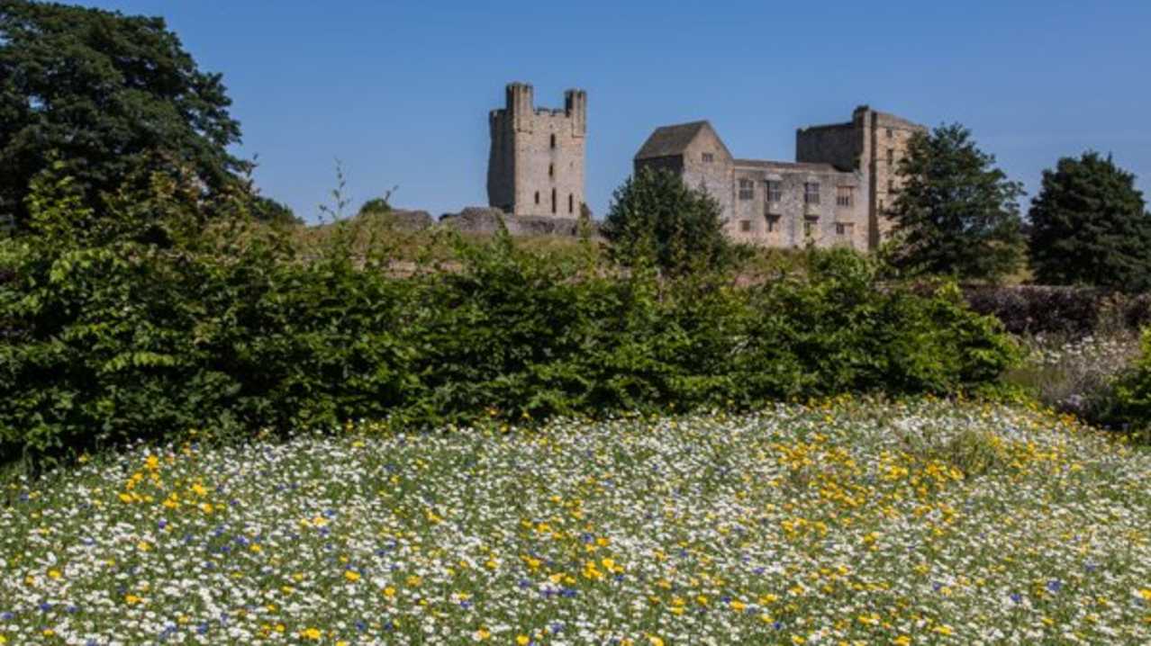 Meadow and castle at Helmsley Walled Garden Meadow and castle at Helmsley Walled Garden