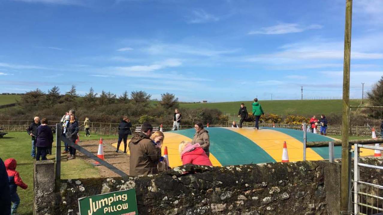 Kids jumping on bouncy pillow at Foel Farm Park in Brynsiencyn
