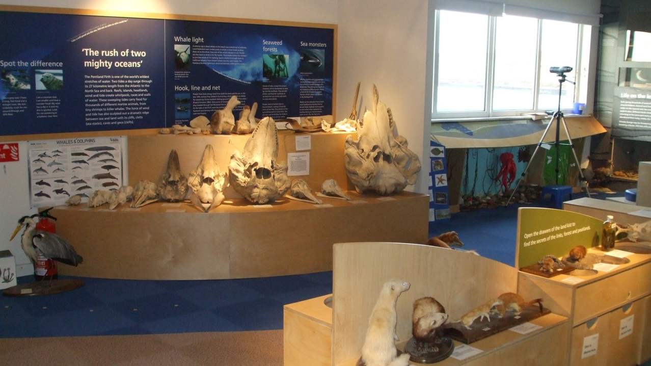 Exhibit at Seadrift-Dunnet Visitor Centre in Wick Exhibit at Seadrift-Dunnet Visitor Centre in Wick