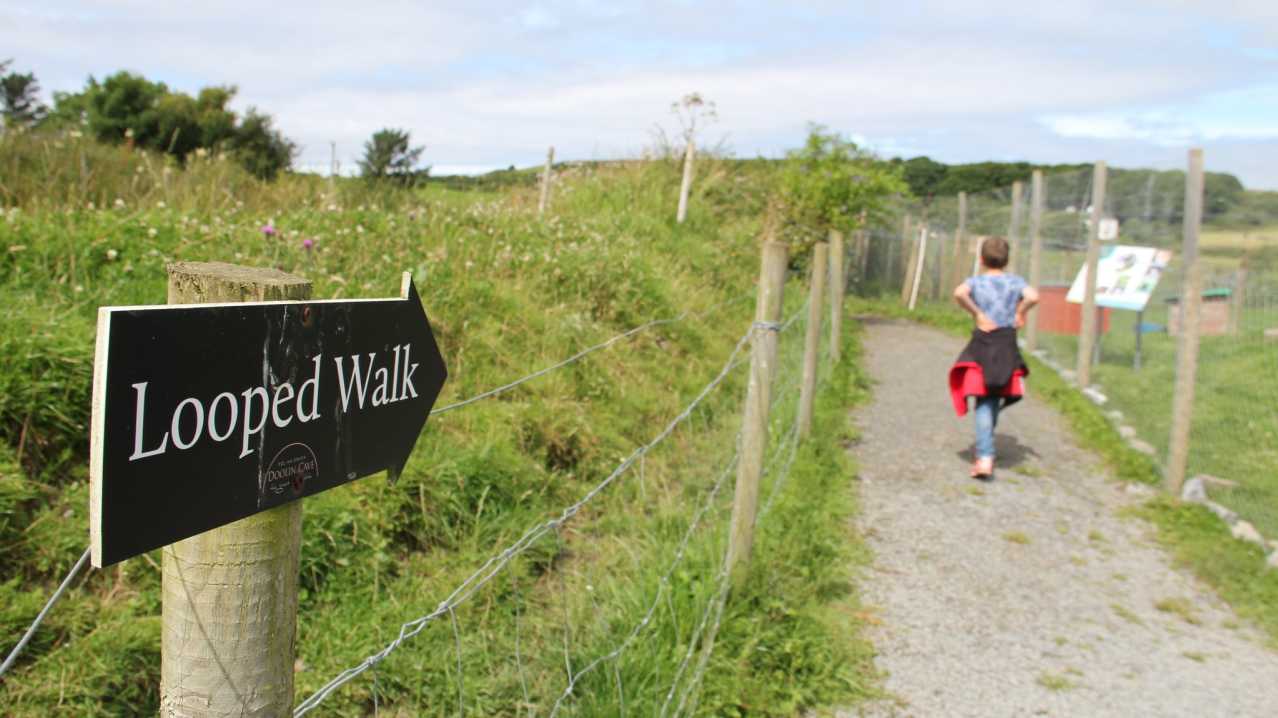 Looped Walk at Doolin Cave and Farmland Nature Trail in Lisdoonvarna