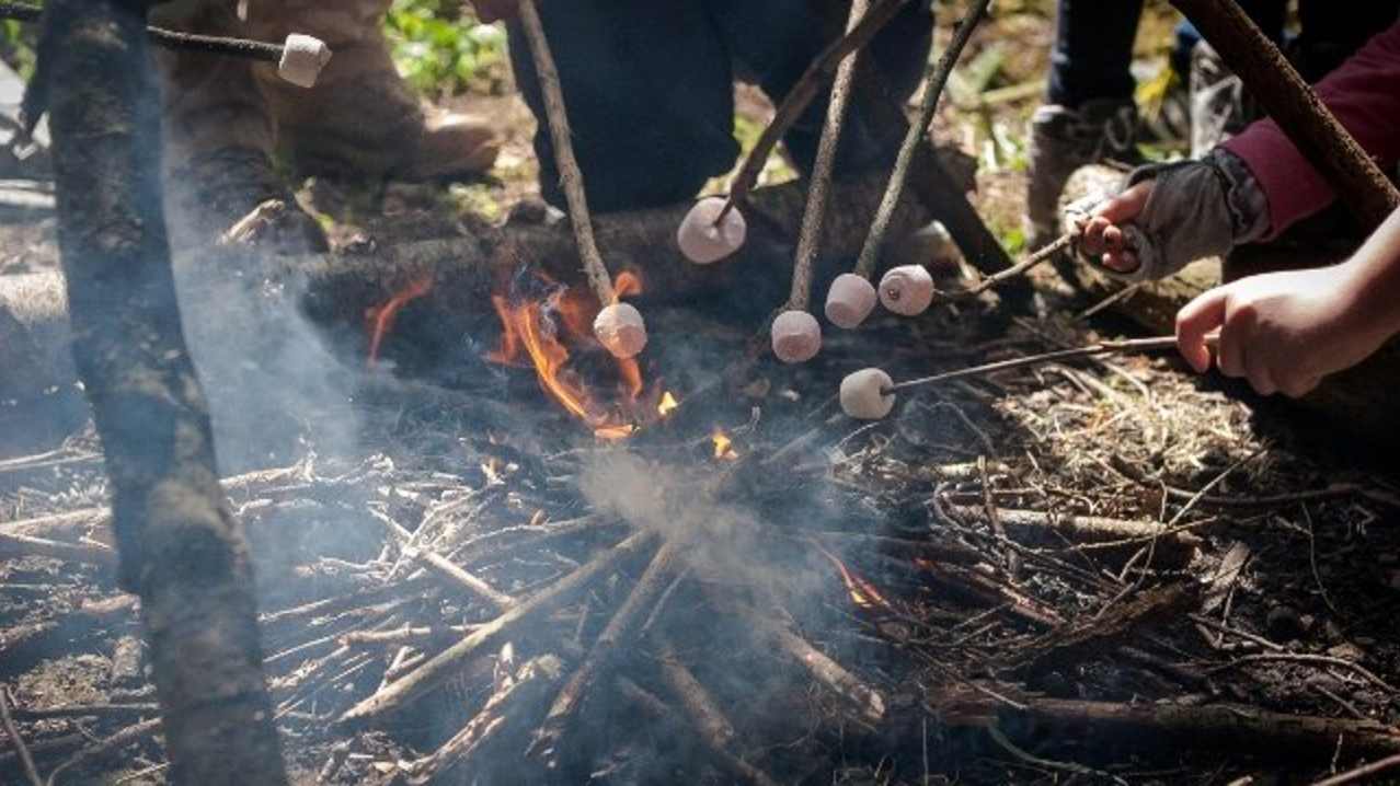 Kids roasting marshmallows in fire at Live For Today Adventures Hazlewood Kids roasting marshmallows in fire at Live For Today Adventures Hazlewood