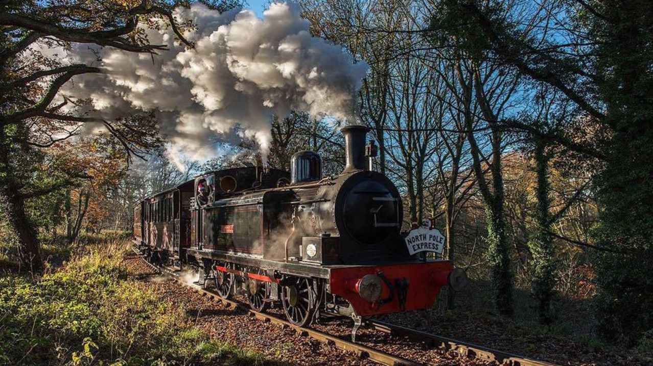 Train at Canfield Railway in Marley Hill