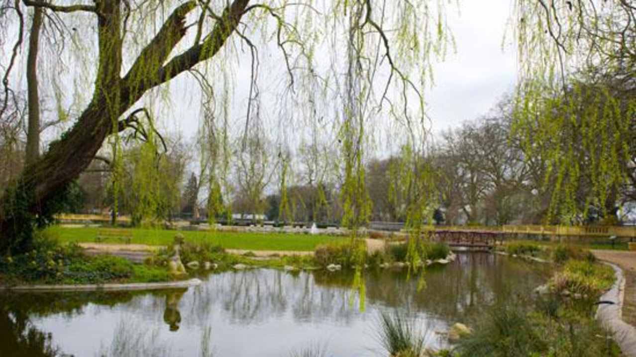 Plants and river at Bishops Park in Hammersmith Plants and river at Bishops Park in Hammersmith