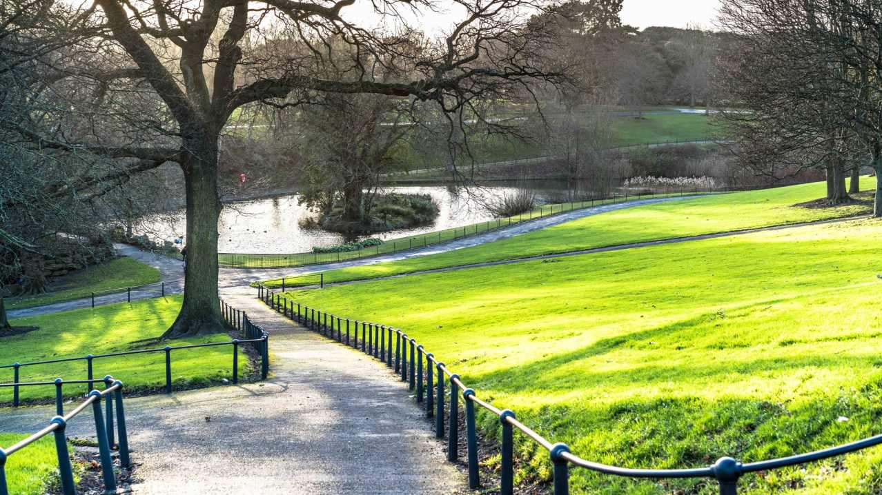 Landscape at The Phoenix Park in Dublin Landscape at The Phoenix Park in Dublin