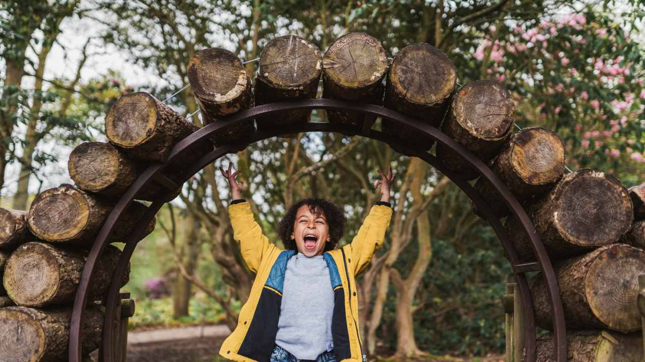 A little boy playing art RHS Harlow Carr in Harrogate