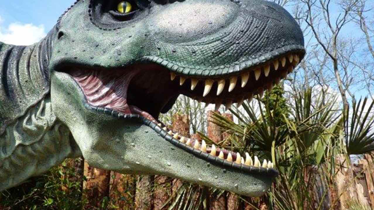 T-Rex at Dino Park in Dumfries T-Rex at Dino Park in Dumfries