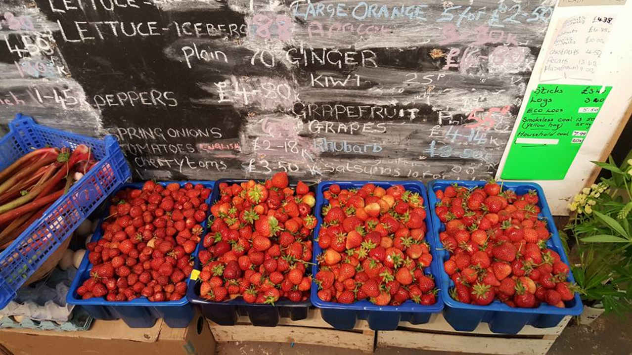 Strawberries at Hillfield Nursery & Farm Shop in Norwich Strawberries at Hillfield Nursery & Farm Shop in Norwich