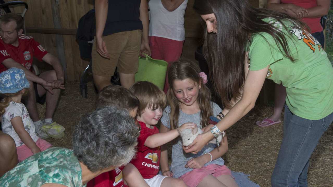 Kids petting animals at Newbridge Farm Park in Ledbury