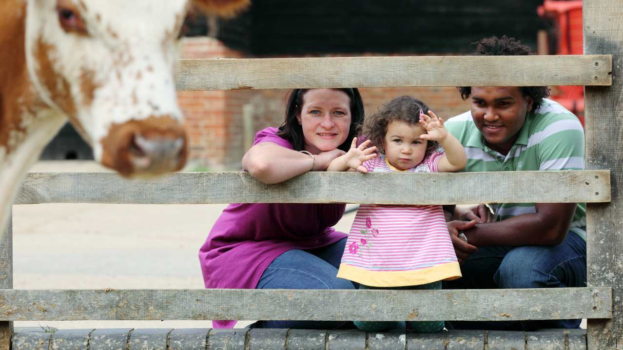 Wimpole Estate - Featured Image - 3