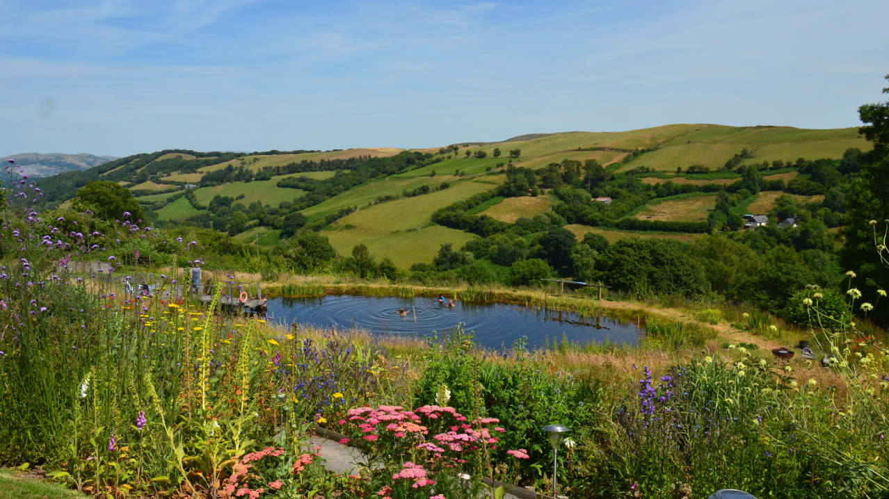 Welsh Lavender Ltd - Featured Image - 1 Welsh Lavender Ltd - Featured Image - 1