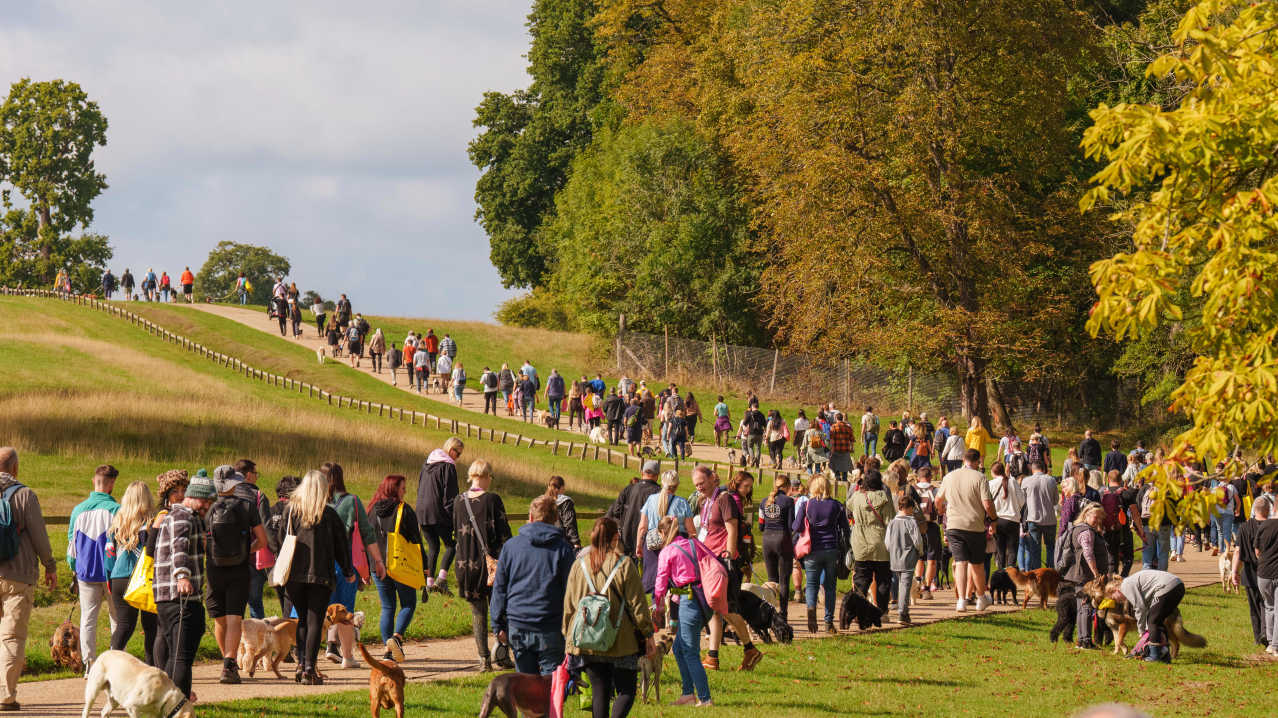 DogFest at Tatton Park - Featured Image - 2 DogFest at Tatton Park - Featured Image - 2
