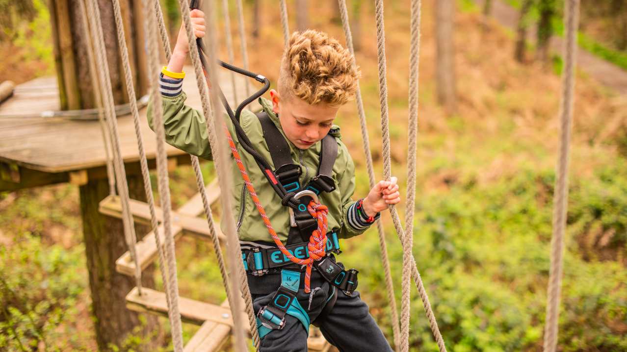 Go Ape Blackburn - Featured Image - 1