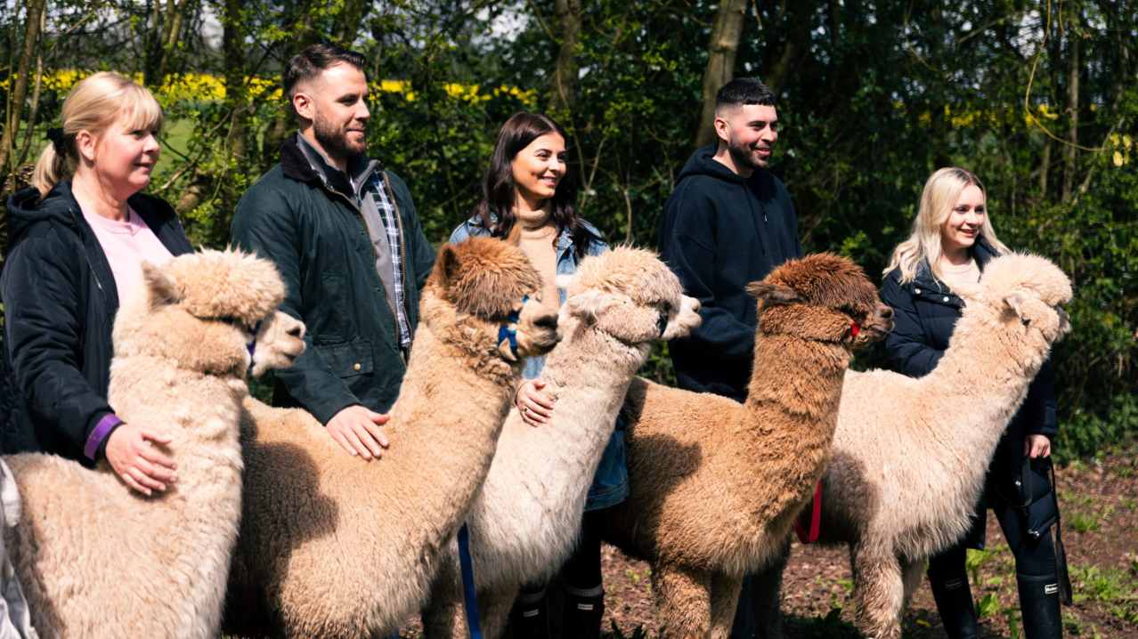 Vallets Farm Barn Alpaca Walks - Featured Image - 1