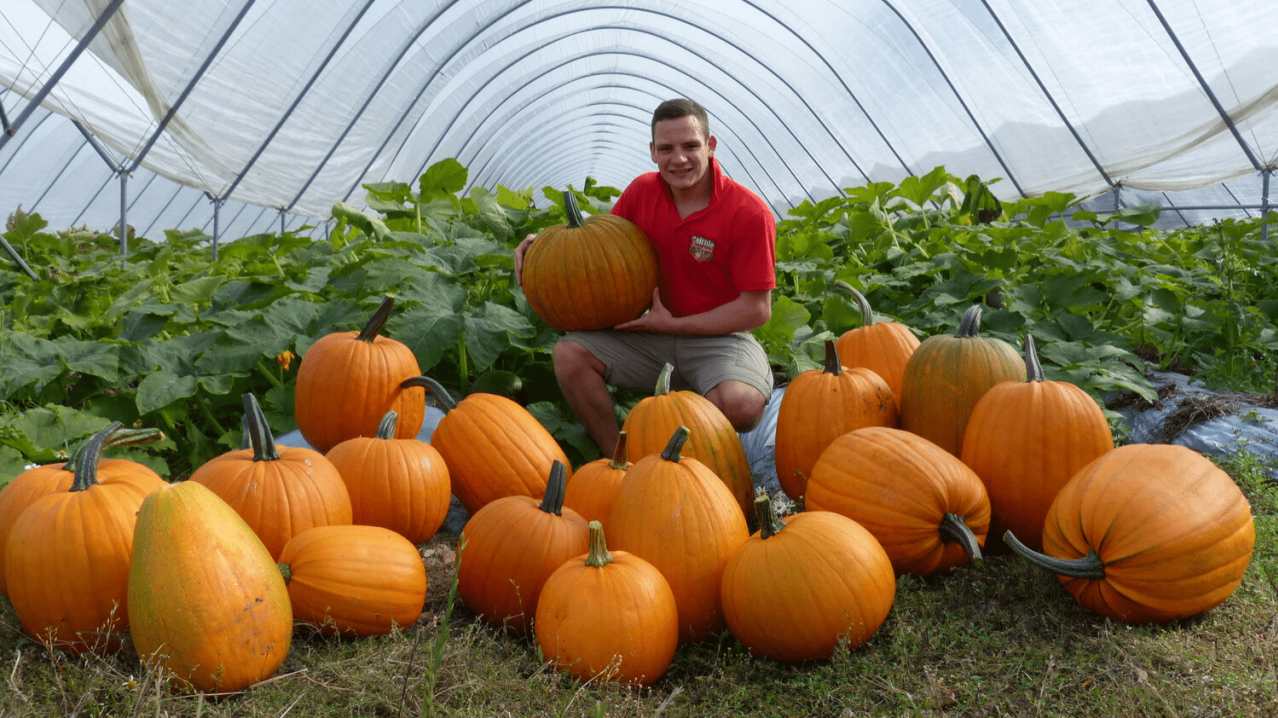 Cairnie Fruit Farm Pumpkin Patch - Featured Image - 1 Cairnie Fruit Farm Pumpkin Patch - Featured Image - 1
