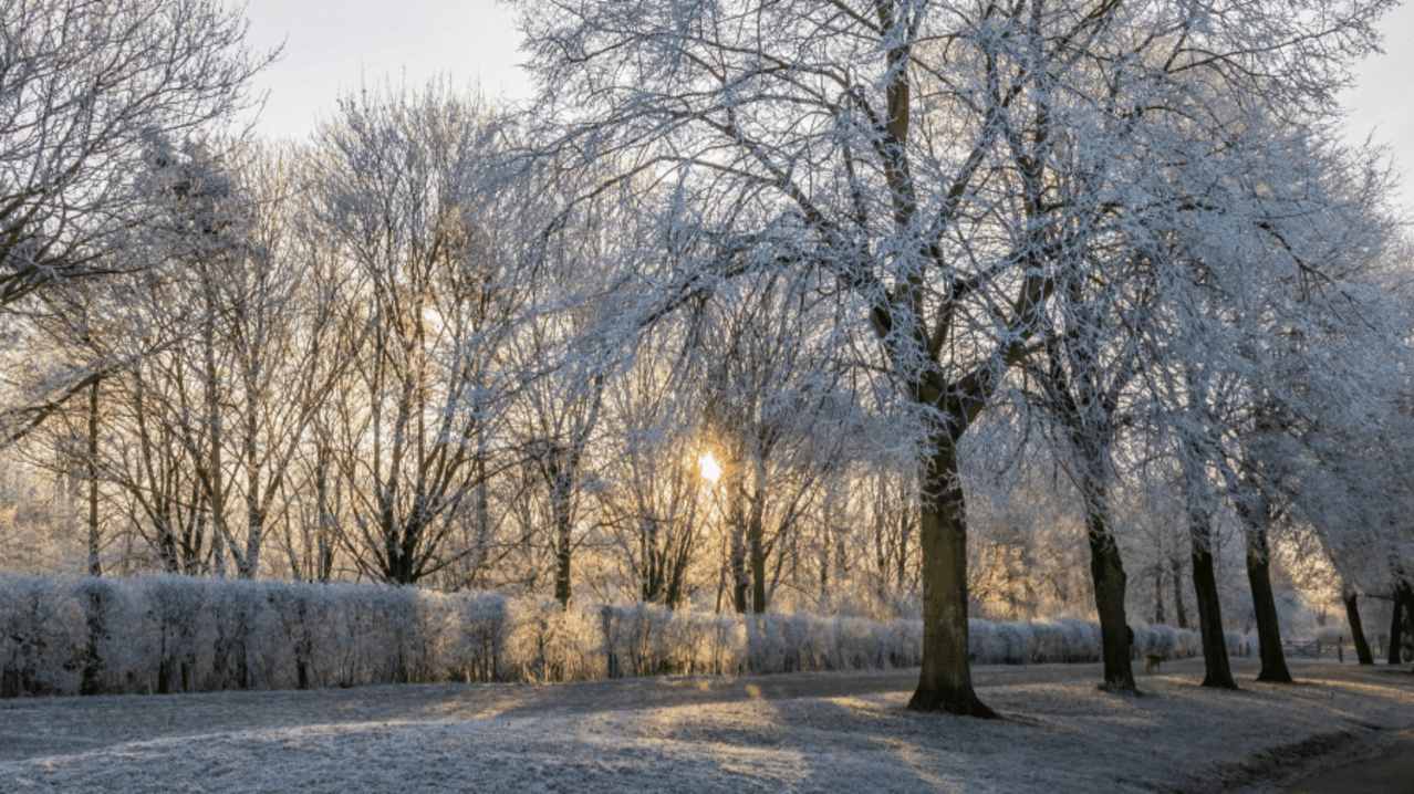 Nene Park Winter Festival - Featured Image - 2